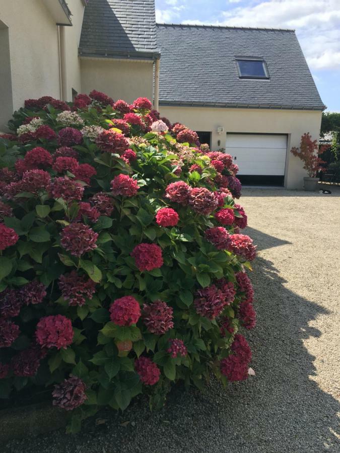 Villa Magdanic Moëlan-sur-Mer Esterno foto